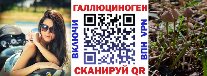 darknet официальный сайт  Лиски  Псилоцибиновые грибы MAGIC MUSHROOMS 
